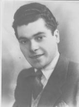 Luigi Brioschi
